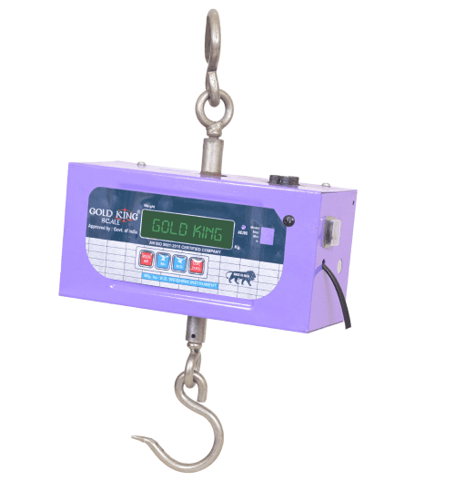 100KG Hanging Scale